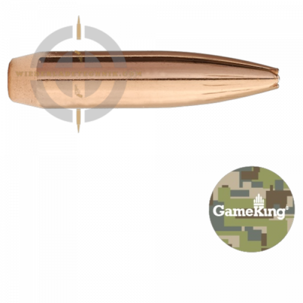 Sierra GameKing 1925 Geschoss